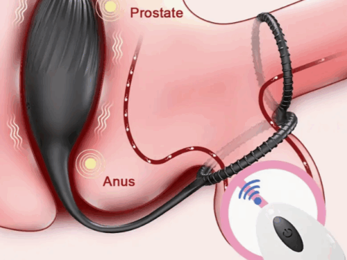 vibrador anal